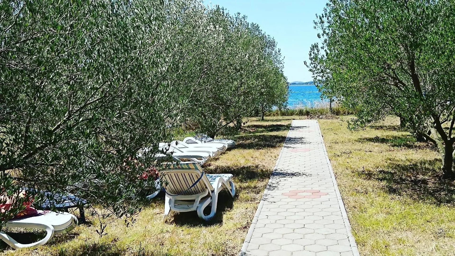 Seaside House For Families With Children Bibinje, Zadar - 22118 Villa 0*, Bibinje
